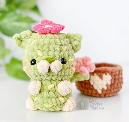 Crochet Plushie Pattern| 2-in-1 PDF Download